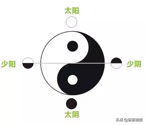 少陰意思|太阳，太阴，以及少阳，少阴都是表示什么？